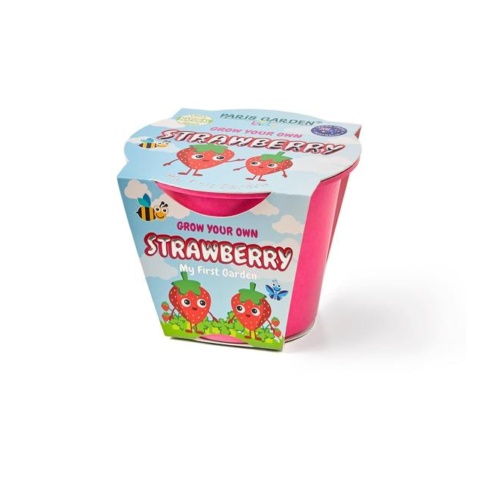 314 Paris Garden Kids Biodegradable Pot Strawberry