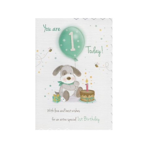 Piccadily Birthday Card - 1st Birthday Boy