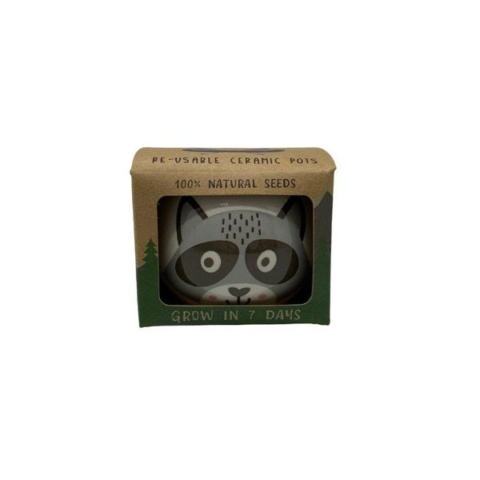 314 Paris Garden Grow Your Own Kits Wild Adventure Raccoon