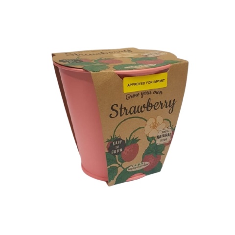 314 Boutique Garden Grow Your Own Starwberry