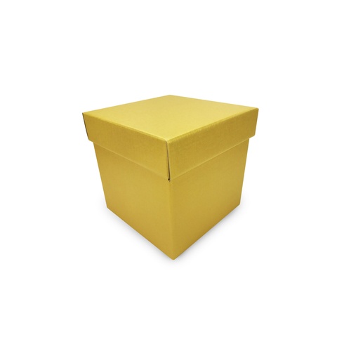 AEIOU Medium Plain Square Storage Box - Texture Gold