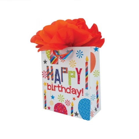 TGWC Large Gift Bag - Birthday Party