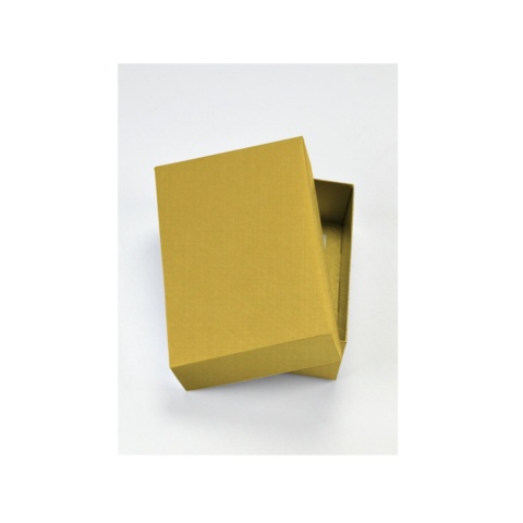 THE AEIOU Small Convenience Box - Gold