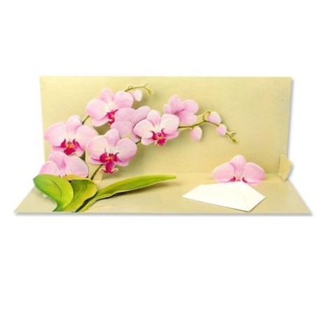 Up With Paper Panoramics POP-Up Greeting Card - Potted Orchid