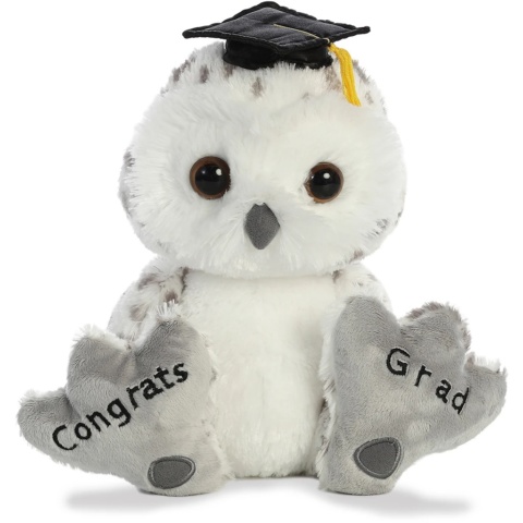 Aurora Taddle Toes Graduation 10 Owl