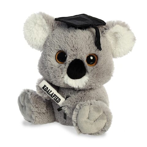 Aurora 8 Graduation Koalified Koala