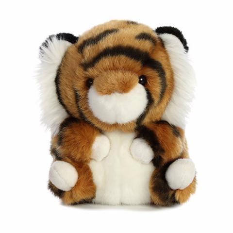 aurora rolly pet